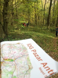 a map laying on the ground with people walking by in the background and trees surrounding it