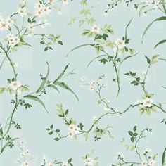 a wallpaper with white flowers and green leaves on a light blue background that is very soft