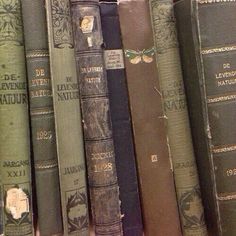 Old Books, Books, Green