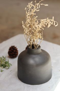 a vase with some plants in it on a white table cloth next to a pine cone