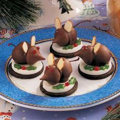 four decorated cookies on a blue plate with holly and white frosting in the shape of mice