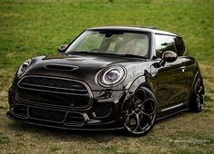 a small black car parked on top of a lush green field