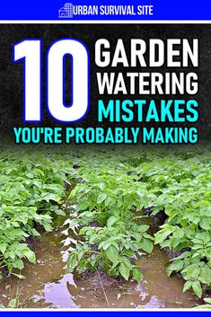 there is a blue sign that says 10 garden watering mistakes you're probably making