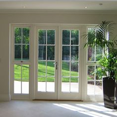 an empty room with large windows and a potted plant