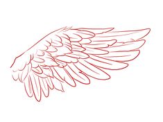 an outline of a wing on a white background