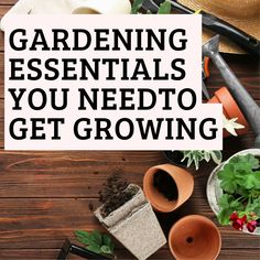 gardening essentials you need to get growing