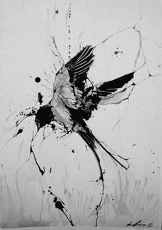 a black and white drawing of a bird flying through the air with paint splatters all over it