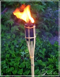 a fire is lit in the middle of a tall bamboo pole with flames coming out of it