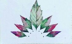 a drawing of a leaf with red, green and purple leaves on it's side