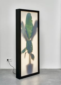 a shadow of a plant on the wall with a phone plugged in to it