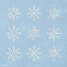 six snowflakes are shown in white on a light blue background, and each has four different shapes