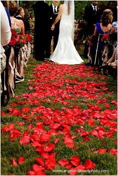 the bride and groom are walking down the aisle with red flowers on the grass in front of them