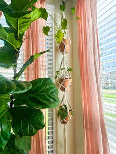 three hanging planters with plants in them on a window sill next to a pink curtain