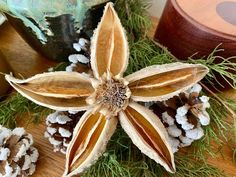 an arrangement of pine cones and dried flowers on a table with other items in the background