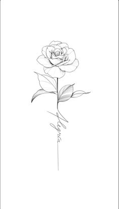 a black and white drawing of a rose with the word love written in cursive writing