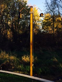 a street light sitting in the middle of a park next to some trees and grass