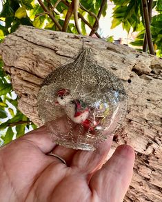 a hand is holding a glass ornament in front of a tree branch with green leaves