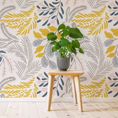 a potted plant sitting on top of a wooden table in front of a wall