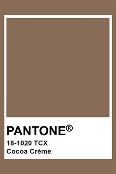 Mocha Brown Color Palette, Pantone Neutral Colors, Mocha Colour Palette, Mocha Color Aesthetic, Mocha Color Palette, Pantone Brown