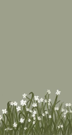 some white flowers and green grass on a gray background