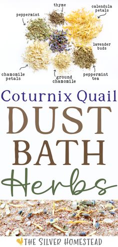 a blend of dried chamomile, calendula, lavender bud, thyme and peppermint flowers and herbs on a white background with text that reads coturnix quail dust bath nesting herbs recipe Quail Food Diy, Quail Dust Bath, Backyard Quail, Quail Raising, Diy Coop, Coturnix Quail, Quail Coop