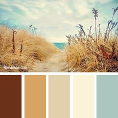 the color palette is brown, blue, and white with some grass in front of it