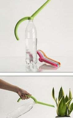 there is a bottle that has some toothbrushes in it and a plant inside