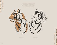 two tigers standing next to each other in front of a white background with brown lettering