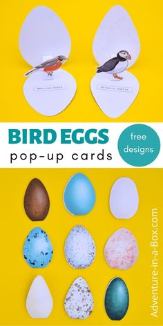 the bird eggs are cut out and placed on top of each other with free printable cards