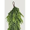 a bunch of green leaves hanging from a hook