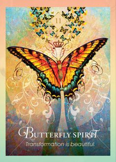 Daily Message from Spirit, Power, Totem Animal #Butterfly - “Avoid making change & transformation so difficult. Allow it to be smooth & peaceful.” #SpiritAnimalOracle Deck www.MitchellOsborn.com #psychic #oracle #divination #medium #petpsychic #animalcommunication #wuvip #mitchellosborn #animalspirit #animaltotem #spirittotem #spiritanimal #poweranimal #totemanimal Thank you for any finacial support 🙏🏼 Mitchell’s Virtual Tip Jar 🙏🏼 >>> https://www.paypal.me/mitchellosborn Butterfly Spirit Animal, Animal Totem Spirit Guides, Spirit Animal Meaning, Animal Meanings, Animal Tarot, Animal Spirit Guide, Animal Spirit Guides, Animal Medicine