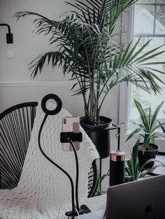 a laptop computer sitting on top of a desk next to a potted palm tree