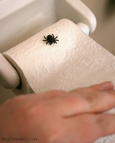 a person's hand reaching for a toilet paper roll with a spider on it