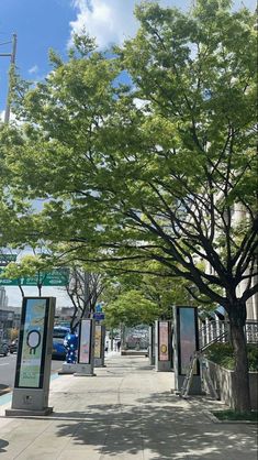 a tree on the side of a street next to a sidewalk with signs and trees