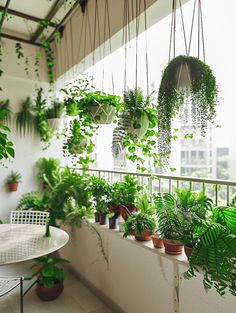 a balcony filled with lots of green plants and hanging planters on the side of it