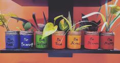 colorful jars with plants and sayings on them sitting on a shelf in front of an orange wall