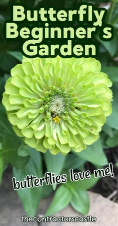 a green flower with the words butterfly beginner's garden on it