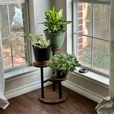 three potted plants sitting on top of a wooden stand in front of a window