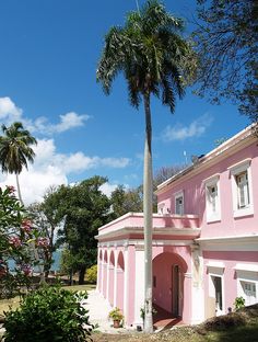 a pink house with a palm tree in front of it