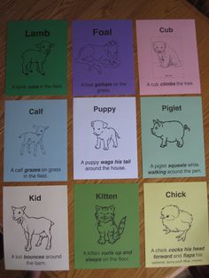 six cards with different animals on them