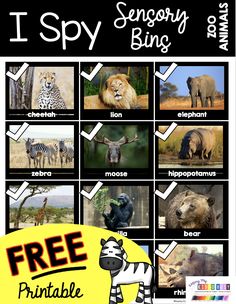 a poster with pictures of different animals and words that say, i spy sensory bine