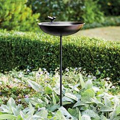 a bird bath sitting on top of a metal pole in the middle of a garden