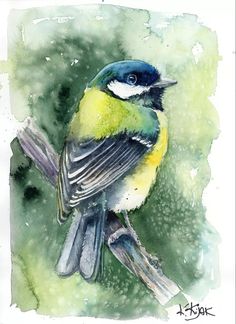 a watercolor painting of a blue and yellow bird on a branch with green background