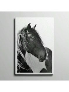 a black and white photo of a horse with long hair on it's head