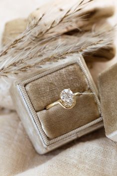 an engagement ring with a diamond sits in a velvet box next to some dry grass