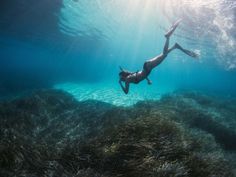 a person swimming in the ocean with grass