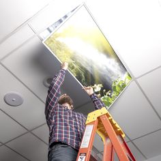 a man standing on a stepladder holding up a large picture above his head