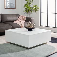 a living room with a couch, coffee table and potted plant