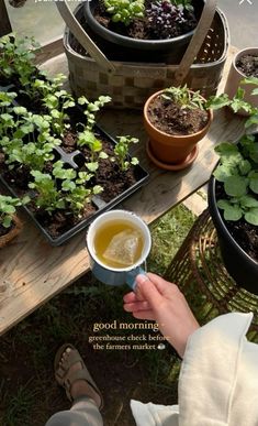 a person holding a cup in front of some potted plants