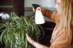 a woman is holding a sprayer near a potted plant